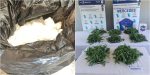 Fuerte operativo, 4 allanamientos y desarme de red de venta de drogas