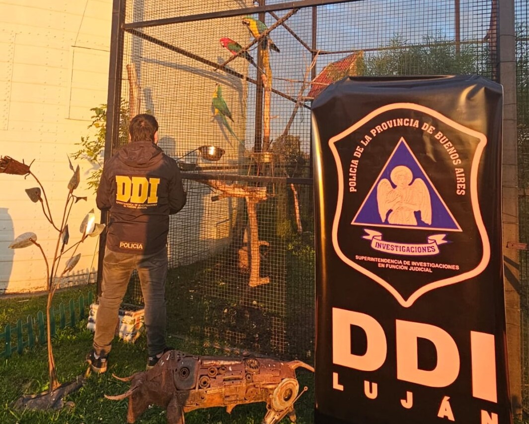 Rescatan animales exóticos de un campo en Carlos Keen; hay cinco notificados por maltrato