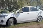 Macabro hallazgo en San Antonio de Areco: una pareja muerta en un auto abandonado