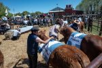 77 Expo Rural