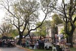 Camino de las Cafeterías tuvo una excelente respuesta del público