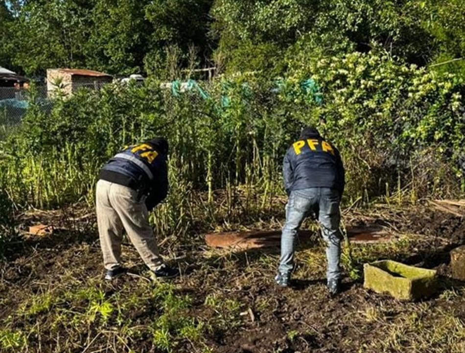Drogas en Rodríguez - Policía Federal
