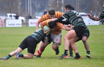 Mercedes Rugby Club perdió ante Varela y la permanencia se definirá en las dos últimas fechas